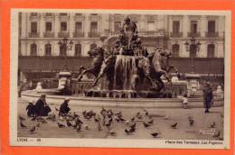 LYON 1 --> Place Des Terreaux. Les Pigeons - Lyon 1