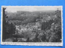 AK BAD GOTTLEUBA ZWIESEL Gasthaus 1940 //  D*5173 - Bad Gottleuba-Berggiesshübel