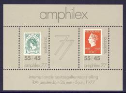 Niederlande / Netherlands 1977 : Mi Block 16 *** - AMPHILEX ´77 - Blocs
