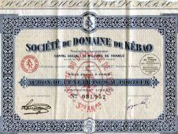 Société Du Domaine De Kébao Action De 100 Francs De 1924 - Mines