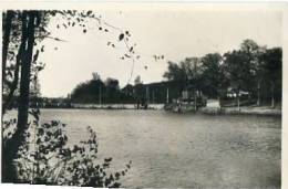 Etang Des Moines - Fourmies