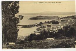 TREBOUL   Et L'Ile Tristan Vus Du Coteau. - Tréboul