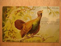 CHROMO CARTE CHOCOLOAT POULAIN - COQ DE BRUYERE N°67 - Relief Et Dorures Oiseau Bird - 10X6 - TBE - Poulain