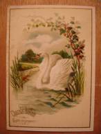 CHROMO CARTE CHOCOLOAT POULAIN - CYGNE - Relief Et Dorures - Swan Oiseau Bird - 7X10 - TBE - Poulain