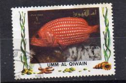 UMM AL QIWAIN 1972 Marine Fish 1r CTO - Umm Al-Qiwain