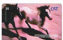 BRASILE ( BRAZIL) - CRT - 1998  EXPOINTER '98: HORSES - USED  -  RIF. 2229 - Paarden