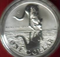 AUSTRALIA $1 KANGAROO ANIMAL FRONT QEII HEAD BACK 1997 UNC 1 OUNCE .999 SILVER READ DESCRIPTION CAREFULLY !!! - Other & Unclassified