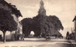 SUISSE - AUBONNE - Avenue Du Chêne - Aubonne