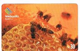 BRASILE ( BRAZIL) - TELEBRASILIA  -  BEES (ABELHAS)      - USED -  RIF. 2278 - Abeilles