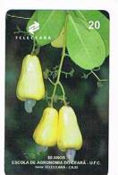 BRASILE ( BRAZIL) - TELECEARA  -  1998  FRUIT: CLONE EMBRAPA 50 (ANACARDIUM  OCCIDENTALE L.)       - USED  -  RIF. 2292 - Alimentation