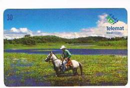 BRASILE ( BRAZIL) - TELEMAT   - 2000  HORSE: CAVALO PANTANEIRO    - USED  -  RIF. 2339 - Paarden