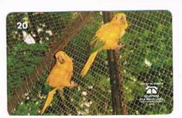 BRASILE ( BRAZIL) - TELEPARA   -  1999  BIRDS: ARATINGA GUAROBA (ARARAJUBA)   - USED  -  RIF. 2342 - Loros