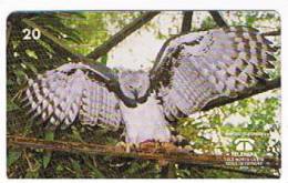 BRASILE ( BRAZIL) - TELEPARA   -  1999  BIRDS: HARPIA HARPYJA (GAVIAO REAL)   - USED  -  RIF. 2344 - Owls