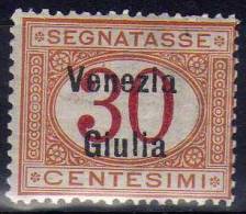 Venezia Giulia 1918 - Segnatasse C.30 **   (g3363)   (NT !) - Venezia Giuliana