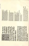 Vari Tipi Di Carattere A Stampa - Venezia 1486  (formato Cm 30 X 45)-  (riproduzione Anno 1904) - Andere & Zonder Classificatie