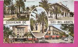 SIDI BEL ABBES   -    * 5 VUES SOUVENIRS *      -     Editeur : C.A.P. De Paris   Nr : 557 - Sidi-bel-Abbès