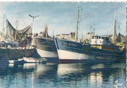 CPA-1960-56-ETEL-BATEAUX DE PECHE Dans Le PORT-TBE - Etel