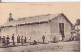 24a-Oued Zenati-Algeria-Mercato Dei Legumi-Marché Aux Legumes-Vegetables Market-1907 - Métiers