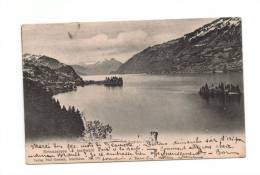 Suisse: Carte Postale Panorama Lac « Brienzersee – Iseltwald », - Brienz