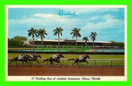 MIAMI, FL - HIALEAH RACE TRACK - A THRILLING RACE - TRAVEL IN 1967 - GULF STREAM VARD - - Miami