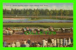 MIAMI, FL - HIALEAH RACE TRACK - HORSES PARADING BEFORE A RACE - GULF STREAM CARD - - Miami