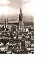 Ulm Donau Blick Auf Die Syrlinstraße Häuser Münster Sw 2.1.1957 - Ulm