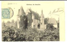 GENILLE - Le Chateau - Genillé