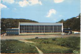 57 (Moselle), Hayange, La Piscine, Architecte Georges Wassner, Citroën Ami6, CP Ayant Circulé, Bon état - Hayange