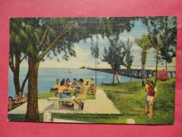 FL - Florida >Picking & Fishing Campbell Parkway  Between  Clearwater & Tampa   Linen-- Ref 634 - Tampa