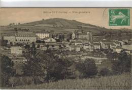 CPA BELMONT DE LA LOIRE (Loire) - Vue Générale - Belmont De La Loire