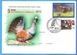 World Environment Day. Birds, Blackcock ROMANIA Enveloppe 2012 - Kuckucke & Turakos