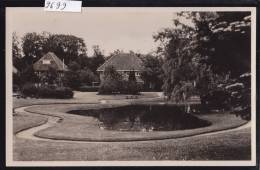 Driebergen ; Oranjeplantsoen (9699) - Driebergen – Rijsenburg