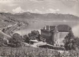 CPA  CHATEAU DE BLEROLLES Le Vignoble Et Le Lac Leman   1957 - Rolle