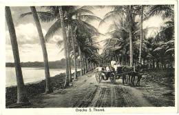 Orecho S. Thomé - & Horse Carriage - Sao Tome Et Principe