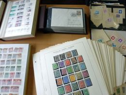 MASSIVE GERMANY STAMP COLLECTION (BRD + REICH + DDR...) - Collections