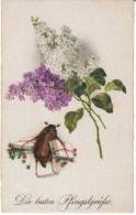 Pfingsten Greetings Whitsun Pentecost, Bug Insect Carries Packages, Flowers, C1910s Vintage Postcard - Pfingsten