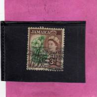 JAMAICA GIAMAICA GREAT BRITAIN GRAN BRETAGNA 1956 QUEEN ELISABETH II MAHOE REGINA ELISABETTA 3p USATO USED OBLITERE' - Jamaïque (...-1961)