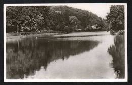 DF / ALLEMAGNE / RHENANIE-PALATINAT / BERGZABERN / LE LAC / FORCES FRANCAISES EN ALLEMAGNE / CIRCULEE EN 1951 - Bad Bergzabern