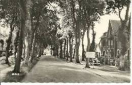 Hesdin - Entrée De La Ville - Hesdin