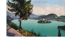 Litho Veldes Bled Krain Slovenija Isola Insel Slowenien  Um 1910 - Slowenien
