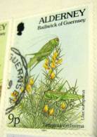 Alderney 1994 Tettigonia Viridissima Ulex Europaeus Grasshopper 9p - Used - Alderney