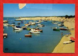 * LA PALMYRE LES MATHES-Le Port-1981 - Les Mathes