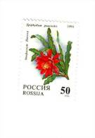 N6052 - Fédération De RUSSIE  1994  --  Le  Somptueux  TIMBRE  N° 6052 (YT)  Neuf**  --  FLORE  :  Cactées - Unused Stamps