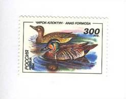 N6080 - RUSSIE  1994  --  Le  Merveilleux  TIMBRE  N° 6080 (YT)  Neuf**  --  FAUNE  :  Canards  :  Anas  Formosa - Unused Stamps