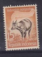 Indonésie. Indonesia.  Buffle . ** - Koeien