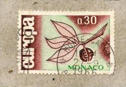 MONACO:  EUROPA  1965 : Feuilles, Tige. - Used Stamps
