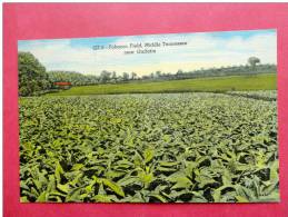 Tobacco Field Middle Tennessee Near Gallatin  Linen 1955 Cancel ==   Ref  638 - Otros & Sin Clasificación