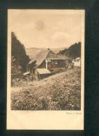 Echery (Ste Marie Aux Mines 68) - Maison De Vacances Zillhardthof ( Photo A. Stüssi ) - Sainte-Marie-aux-Mines