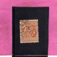 CYPRUS - CIPRUS - CIPRO GREAT BRITAIN 1955 QUEEN ELISABETH II ORANGES - REGINA ELISABETTA ARANCE USED - Chypre (...-1960)