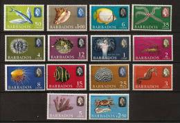 Barbade 1966 N° BF 79 / 82 * Elisabeth II, Fleur De Corail, Langouste, Hippocampe, Oursin, Poisson-papillon, Etoile - Barbades (1966-...)